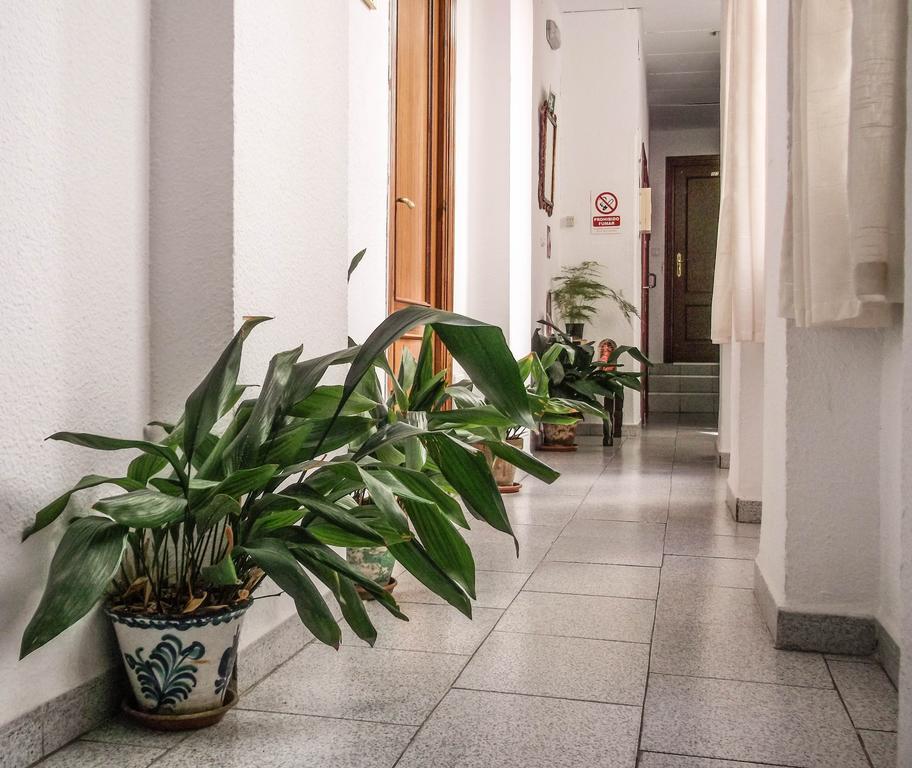Pension Ciudad Navarro Ramos กรานาดา ภายนอก รูปภาพ